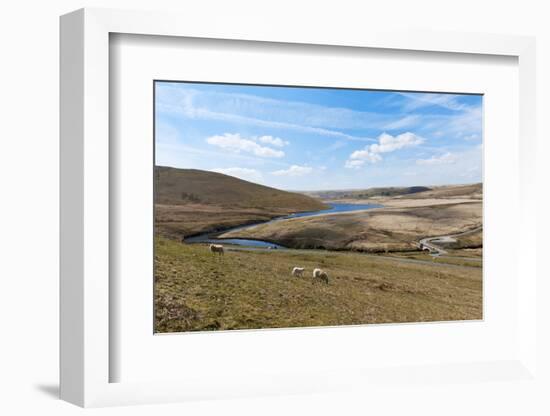 A Landscape View of Elan Valley, Powys, Wales, United Kingdom, Europe-Graham Lawrence-Framed Photographic Print