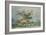 A Landscape with an Old Oak Tree-JMW Turner-Framed Giclee Print