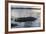 A Large American Crocodile Surfaces in Turneffe Atoll, Belize-Stocktrek Images-Framed Photographic Print