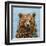 A Large Bear-Carolee Vitaletti-Framed Art Print