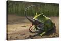 Stretched Canvas Print