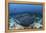 A Large Black-Blotched Stingray Swims over the Rocky Seafloor-Stocktrek Images-Framed Premier Image Canvas