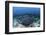 A Large Black-Blotched Stingray Swims over the Rocky Seafloor-Stocktrek Images-Framed Photographic Print