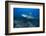 A Large Bull Shark at the Bistro Dive Site in Fiji-Stocktrek Images-Framed Photographic Print