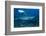 A Large Bull Shark at the Bistro Dive Site in Fiji-Stocktrek Images-Framed Photographic Print