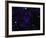 A Large Collection of Galaxies-Stocktrek Images-Framed Photographic Print