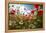 A Large Field of Poppies and Daisies Near Newark in Nottinghamshire, England Uk-Tracey Whitefoot-Framed Premier Image Canvas