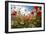 A Large Field of Poppies and Daisies Near Newark in Nottinghamshire, England Uk-Tracey Whitefoot-Framed Photographic Print