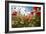 A Large Field of Poppies and Daisies Near Newark in Nottinghamshire, England Uk-Tracey Whitefoot-Framed Photographic Print