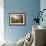 A Large Field of Poppies and Daisies Near Newark in Nottinghamshire, England Uk-Tracey Whitefoot-Framed Photographic Print displayed on a wall