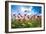 A Large Field of Poppies Near Newark in Nottinghamshire, England Uk-Tracey Whitefoot-Framed Photographic Print