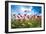 A Large Field of Poppies Near Newark in Nottinghamshire, England Uk-Tracey Whitefoot-Framed Photographic Print