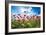 A Large Field of Poppies Near Newark in Nottinghamshire, England Uk-Tracey Whitefoot-Framed Photographic Print