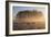 A Large Group Of Red Deer Stags, Cervus Elaphus, In Richmond Park At Dawn-Alex Saberi-Framed Photographic Print