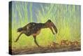 Stretched Canvas Print