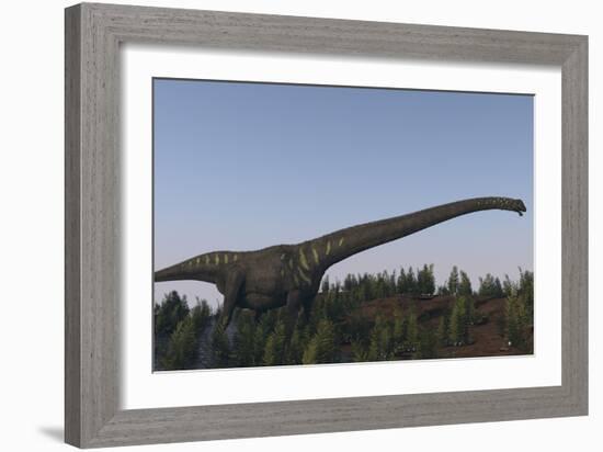 A Large Mamenchisaurus Walking Along a Dry Riverbed-Stocktrek Images-Framed Art Print