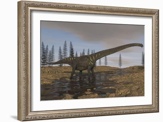 A Large Mamenchisaurus Walking Along a Dry Riverbed-Stocktrek Images-Framed Art Print