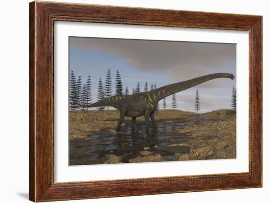 A Large Mamenchisaurus Walking Along a Dry Riverbed-Stocktrek Images-Framed Art Print