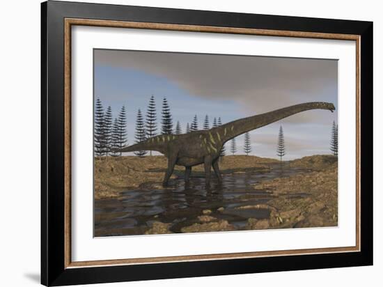 A Large Mamenchisaurus Walking Along a Dry Riverbed-Stocktrek Images-Framed Art Print