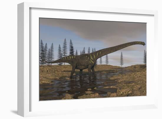 A Large Mamenchisaurus Walking Along a Dry Riverbed-Stocktrek Images-Framed Art Print