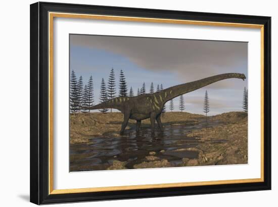 A Large Mamenchisaurus Walking Along a Dry Riverbed-Stocktrek Images-Framed Art Print