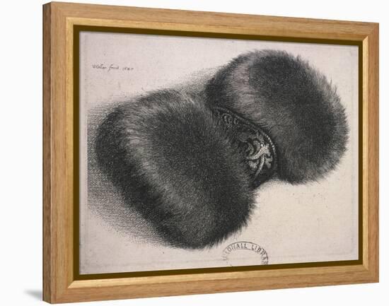 A Large Muff with a Band of Brocade, 1647-Wenceslaus Hollar-Framed Premier Image Canvas