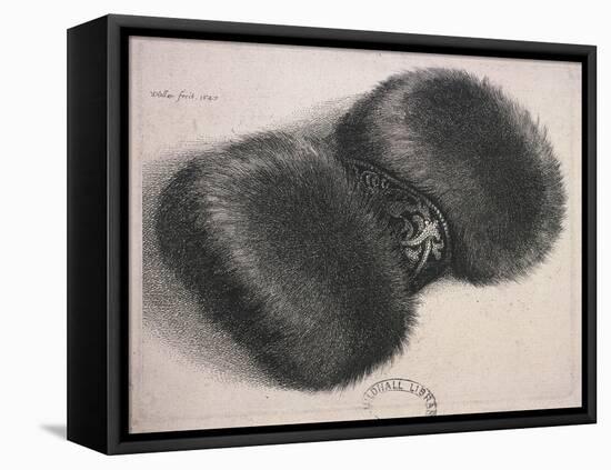 A Large Muff with a Band of Brocade, 1647-Wenceslaus Hollar-Framed Premier Image Canvas