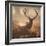 A Large Red Deer Stag Waits in the Early Morning Mists of Richmond Park-Alex Saberi-Framed Photographic Print