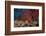 A Large Red Gorgonian Sea Fan and Tiger Cowrie in Waters Off Fiji-Stocktrek Images-Framed Photographic Print