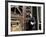 A Lawyer Leaving the Courthouse, Santiago, Chile, South America-Aaron McCoy-Framed Photographic Print