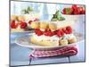 A Layered Dessert Made of Sponge Fingers, Cream and Berries-Frank Weymann-Mounted Photographic Print