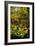 A Leaded Glass Window of a Woodland Scene-Tiffany Studios-Framed Giclee Print