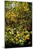 A Leaded Glass Window of a Woodland Scene-Tiffany Studios-Mounted Giclee Print