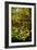 A Leaded Glass Window of a Woodland Scene-Tiffany Studios-Framed Giclee Print