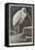 A Learned Judge (Tantalus Stork)-Henry Stacey Marks-Framed Premier Image Canvas