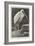 A Learned Judge (Tantalus Stork)-Henry Stacey Marks-Framed Giclee Print