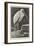 A Learned Judge (Tantalus Stork)-Henry Stacey Marks-Framed Giclee Print