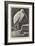 A Learned Judge (Tantalus Stork)-Henry Stacey Marks-Framed Giclee Print