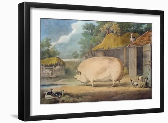 A Leicester Sow, 2 Years Old, the Property of Samuel Wiley-William Henry Davis-Framed Giclee Print