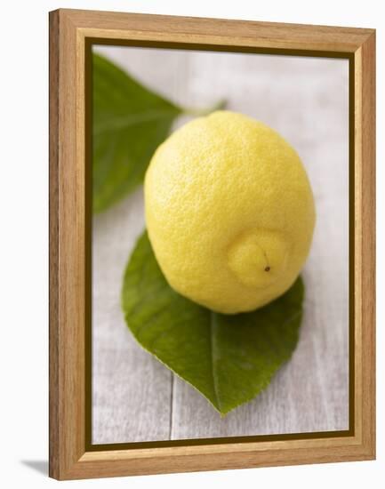 A Lemon with Leaves-Marc O^ Finley-Framed Premier Image Canvas