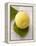 A Lemon with Leaves-Marc O^ Finley-Framed Premier Image Canvas