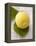 A Lemon with Leaves-Marc O^ Finley-Framed Premier Image Canvas