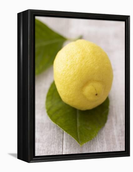 A Lemon with Leaves-Marc O^ Finley-Framed Premier Image Canvas