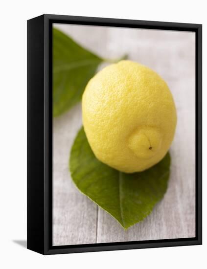 A Lemon with Leaves-Marc O^ Finley-Framed Premier Image Canvas