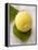 A Lemon with Leaves-Marc O^ Finley-Framed Premier Image Canvas