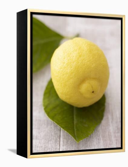 A Lemon with Leaves-Marc O^ Finley-Framed Premier Image Canvas