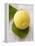 A Lemon with Leaves-Marc O^ Finley-Framed Premier Image Canvas