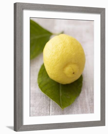 A Lemon with Leaves-Marc O^ Finley-Framed Photographic Print