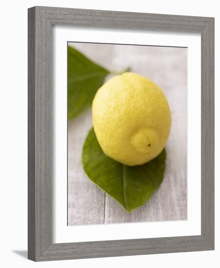 A Lemon with Leaves-Marc O^ Finley-Framed Photographic Print