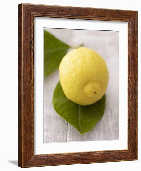 A Lemon with Leaves-Marc O^ Finley-Framed Photographic Print